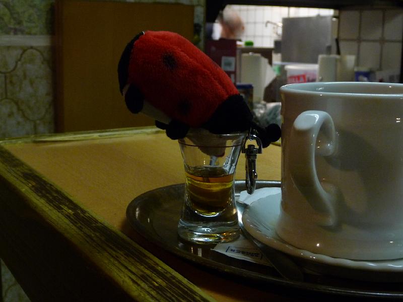 P1000181.JPG