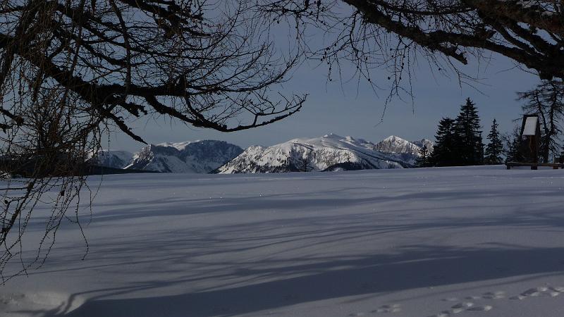 P1000194.JPG