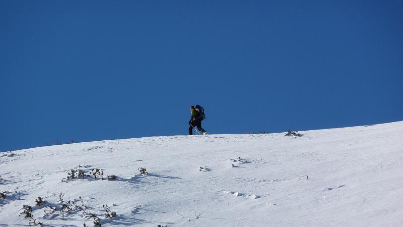 P1000251.JPG