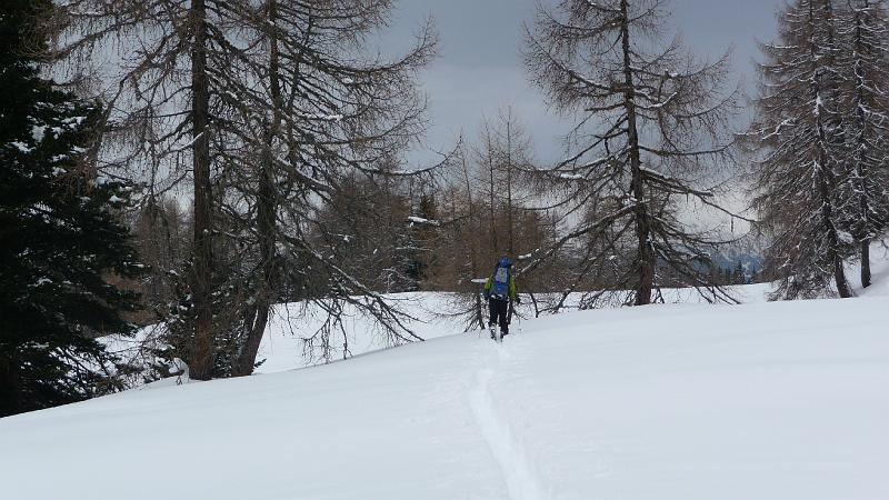 P1000292.JPG