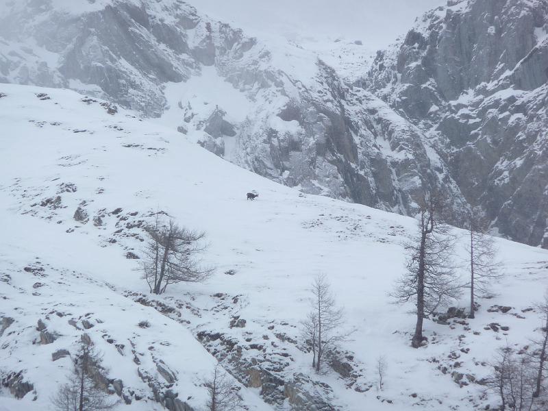 P1000476.JPG