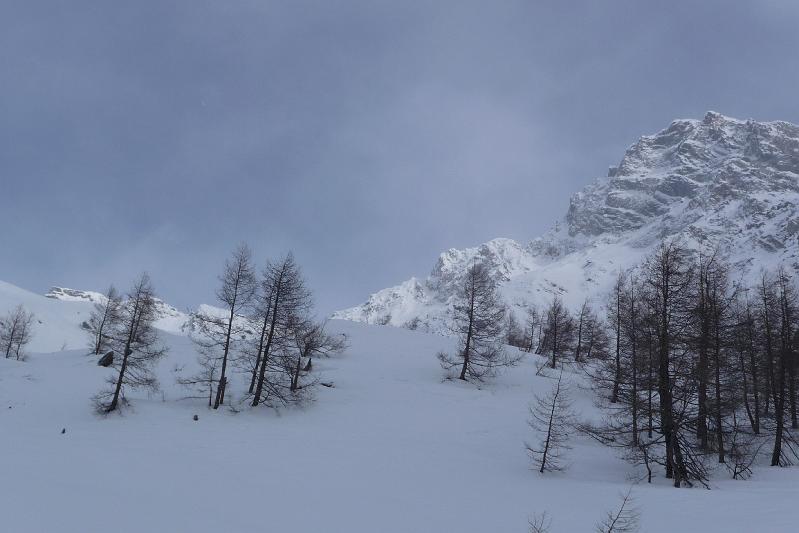 P1000480.JPG